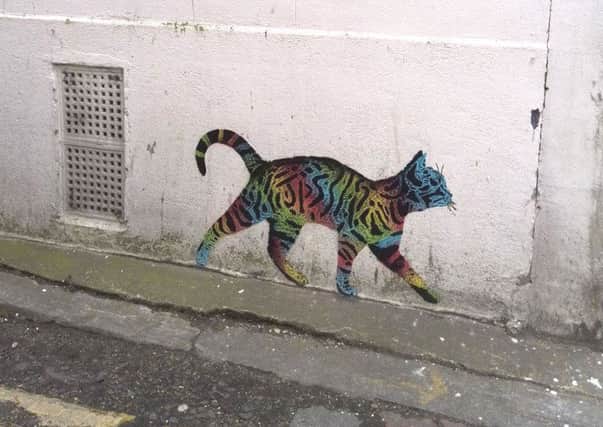 'Tag cat' by JPS in West Pallant, Chichester