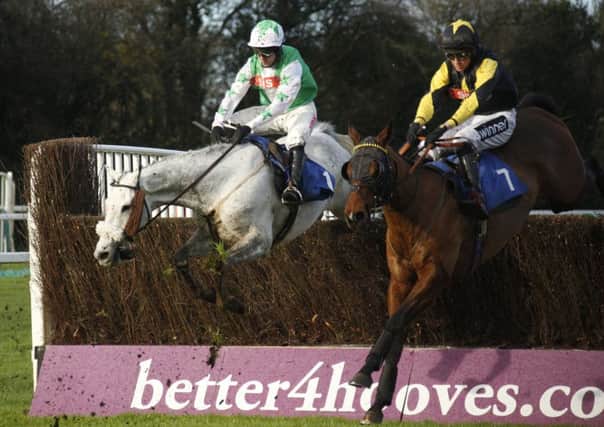 Fontwell officials are hoping for another sunny afternoon of action / Picture by Clive Bennett