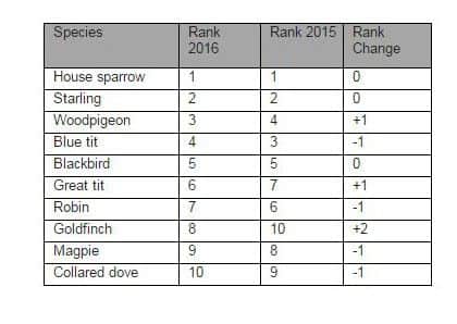 2016 Big Garden Birdwatch results for West Sussex
