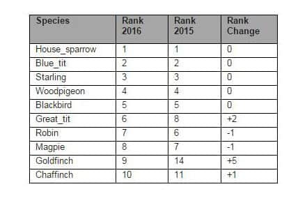 2016 Big Garden Birdwatch results for East Sussex