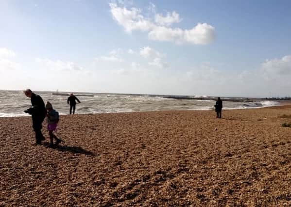 Volunteers help out on a previous beach clean organised by Hastings Blue Reef