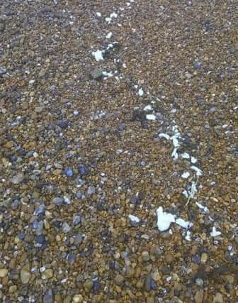 Palm oil washed up on the beach in Seaford. Photo by Karen Hardy SUS-160504-105526001