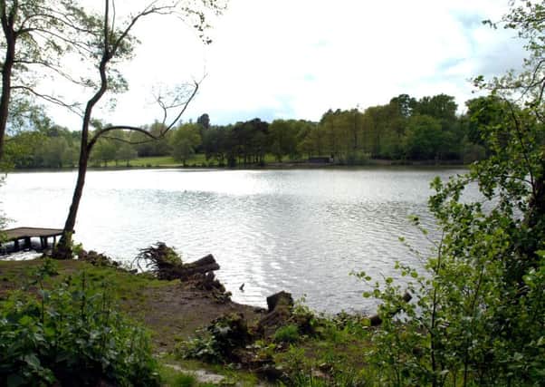 Campbells Lake in Tilgate Park (Pic by Jon Rigby) SUS-140513-113410001