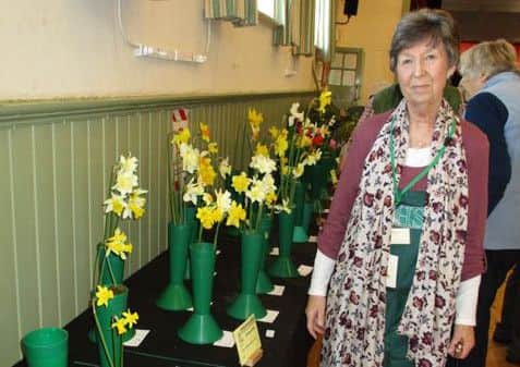 Pauline Colcutt by one of the many daffodil classes