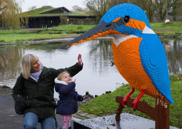 Kate the Kingfisher meeting visitors of the Arundel Wetland Centre