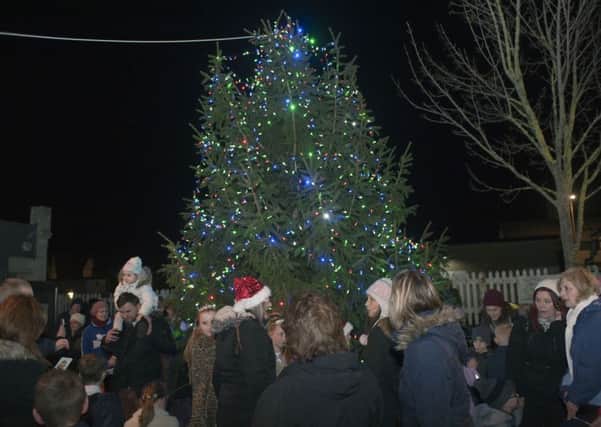 The tree at the Christmas Extravaganza which will be replaced by the new tree bought from Little Down Farm. Photo by Frank Copper
