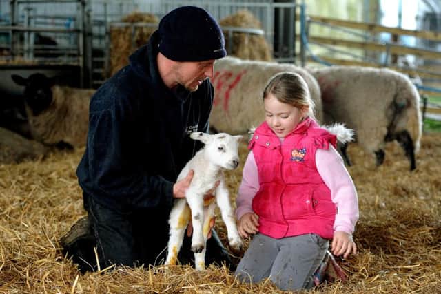 Open Lambing at Gaston Farm, School Hill, Slindon, West Sussex. Pic Steve Robards SR1601004. Lilija Swann (correct), and shepherd Darren Sercombe with a lamb SUS-160804-173126001