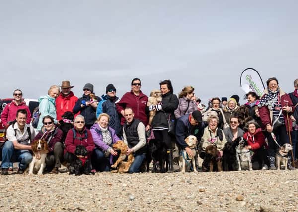 Gathering on the beach ahead of the Great British Dog Walk at The National Trusts East Head in West Wittering. Pictures: Hearing Dogs for Deaf People