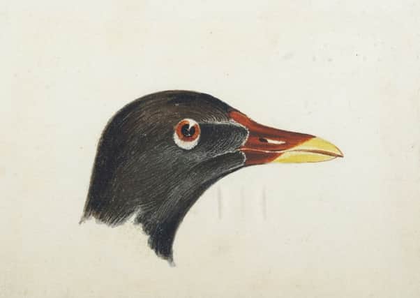 'Study for Head of a Moorhen' by Joseph Mallord William Turner RA, watercolour, 4" x 5", in the region of Â£100,000 - Â£150,000 from Haynes Fine Art of Broadway