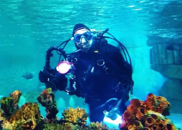 Divers help clean Blue Reef Aquarium's 130,000 litre tank. Photo courtesy of the aquarium
