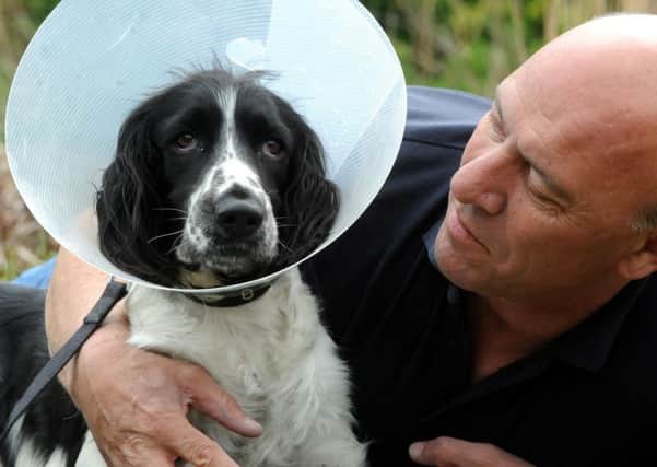 ks16000572-4 LG Dog Attack phot kate

Gary Manchester with his dog, now recovering from his attack.ks16000572-4 SUS-160418-212508008