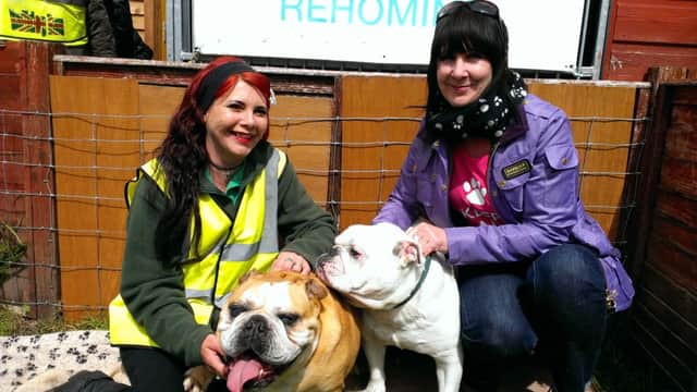 Left Tania Holmes from the Carron Lane bulldog trust andTina Hal with rescue dogs Maya and Louis