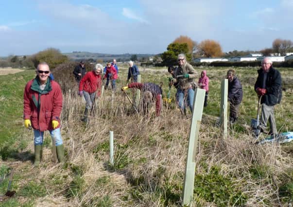 Tree planting at Ferring Rife. Picture: Tricia Hall