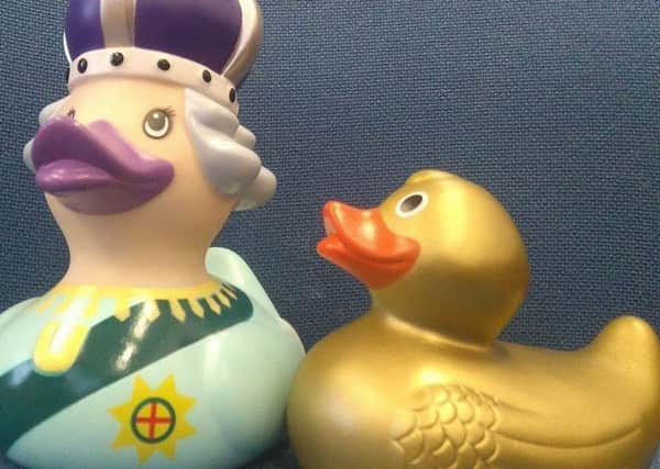 50 golden ducks will be hidden