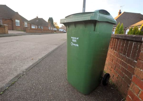 A green wheelie bin issued by Rother District Council for collecting garden refuse