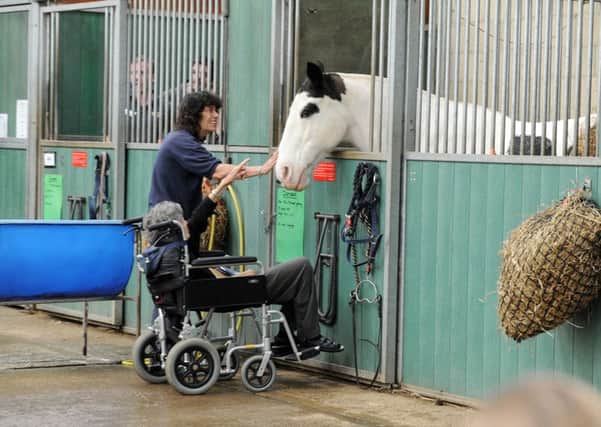 The stable area at Ferring Country Centre