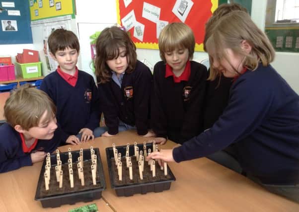 Sowing the Rocket Science seeds at St Philips Catholic School in Arundel