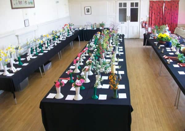 Exhibits at Storrington Horticultural Society's Spring Show
