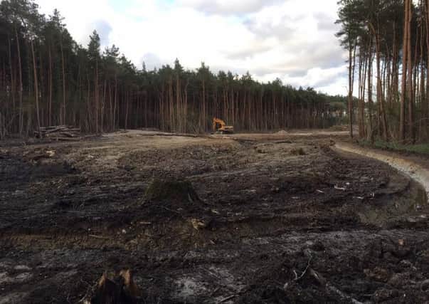 Destruction of ancient woodland at Poynings SUS-160513-105046001