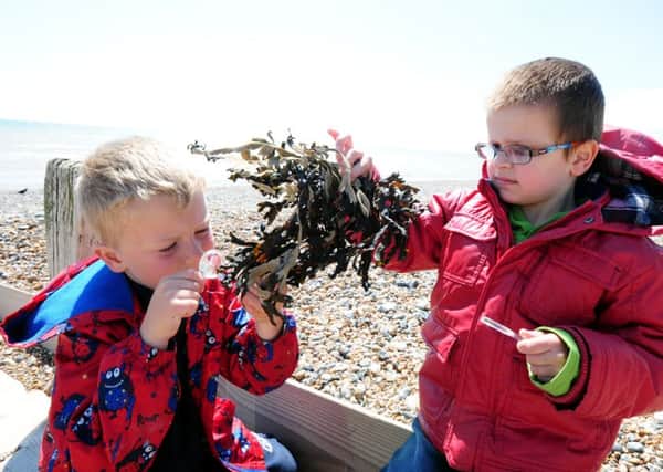 Jack Reed, five, and Kylen Penny, four, inspect some seaweed