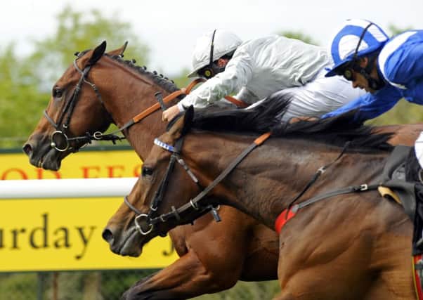 There are seven races on Goodwood's Sunday card / Picture by Malcolm Wells