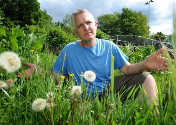 Dean Langbridge who relies on allotments for sustenance says 'unused and abused' plots are attracting rats and weeds at Tilgate. Here pictured in an unused plot. Pic Steve Robards  SR1614642 SUS-160523-174126001