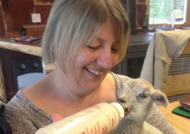 Little Gate Farm Trustee Heidi Harrow feeding a new born lamb SUS-160525-153348001