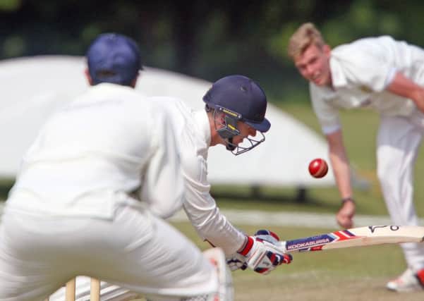 DM16120080a.jpg Cricket: Cuckfield (batting) v Hastings and St Leaonards Priory. John Silk batting. Photo by Derek Martin SUS-160528-202711008