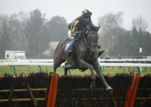Jump-racing action at Fontwell / Picture by Clive Bennett