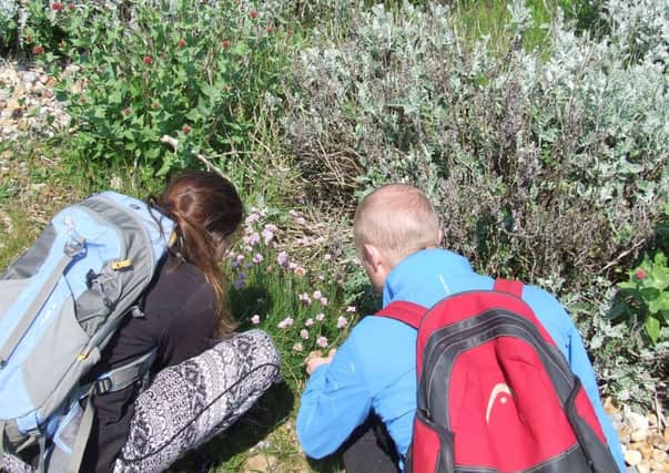 The marine day conference for teachers took place on Shoreham Beach Local Nature Reserve