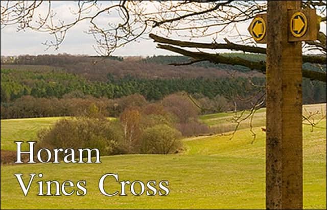Horam & Vines Cross news