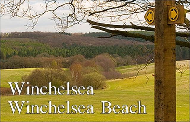 Winchelsea & Winchelsea Beach news
