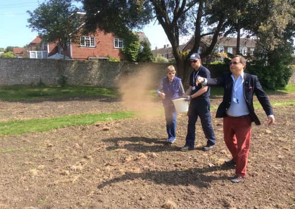 Adur councillor Carson Albury helping to sow seeds for a remembrance meadow in Manor Park SUS-160617-144326003