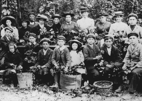 Hop picking in Icklesham in the 1900s