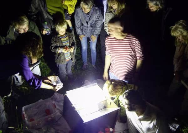 Visitors gather around a moth trap in Newick Common SUS-160617-100436001