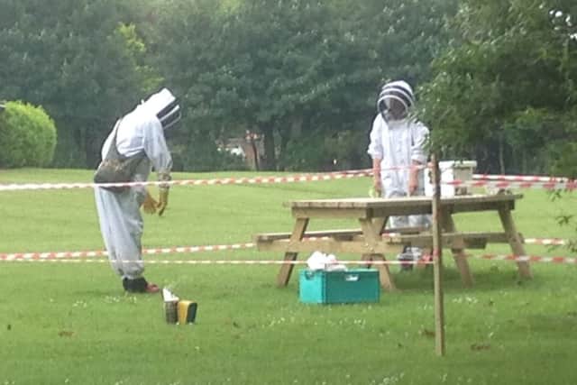 A swarm of bees has been discovered in Lancing. Picture: Eddie Mitchell