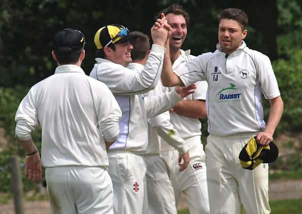 Findon celebrate a wicket earlier this season