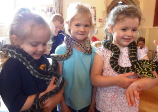 The first 'Repto-party' at Busy Bees Pre-school in Tarring proved a hit with the children