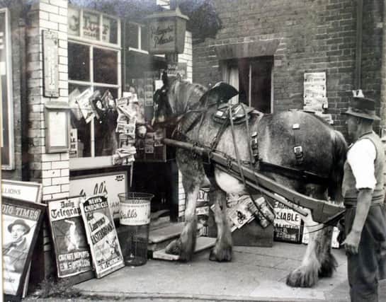 Horse gets a treat at Sheps the newsagents, in North Street