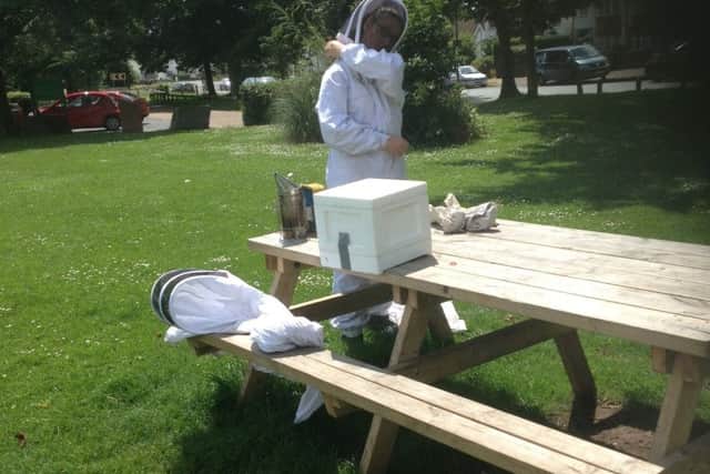 A swarm of bees has been found in Lancing