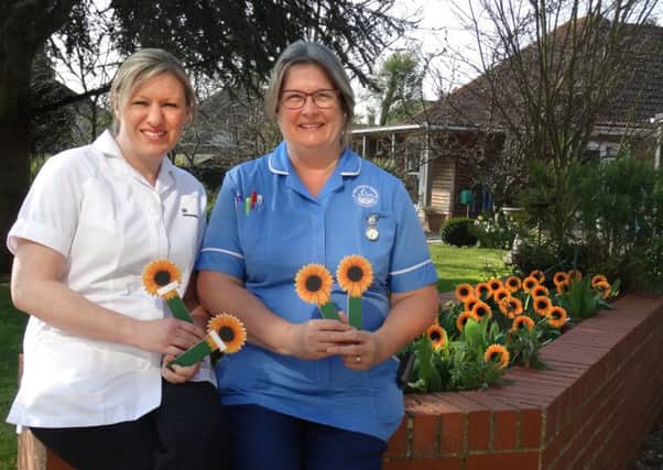 Sunflowers will be 'planted' in the gardens at St Wilfrids Hospice to lift people's spirits
