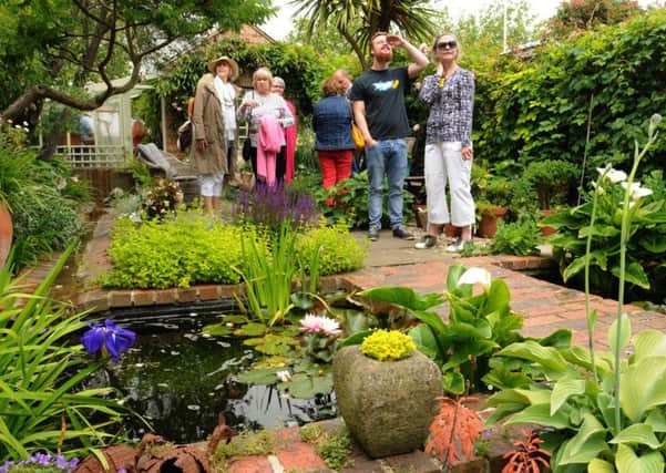 Visitors explore Ambrose Place back gardens. Pictures: Kevin Shaw KS0002C