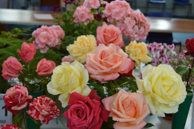 A display of roses for Worthing Horticultural Society