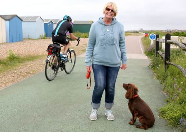 DM16129565a.jpg Jan Rawlings, concerned about cyclists going too fast on Widewater footpath, Lancing after a cyclist hit her dog Millie. Photo by Derek Martin SUS-160407-185758008