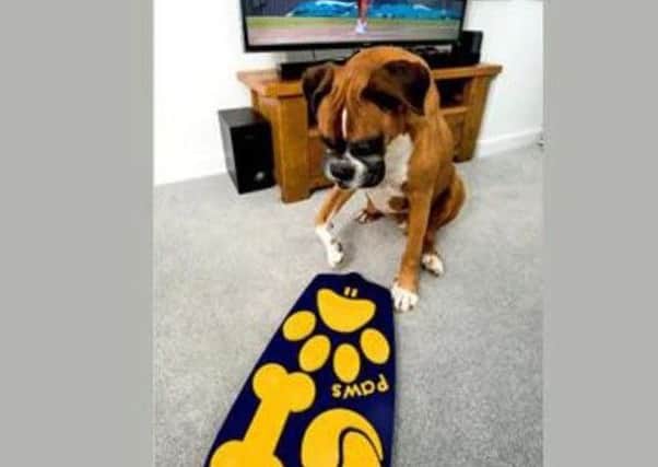 TV remote for dogs