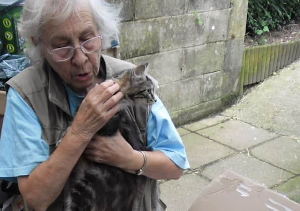 Tabby kitten Bella was found abandoned in a cardboard box next to a wheelie bin on the drive of Paws Animal Sanctuary in Findon.