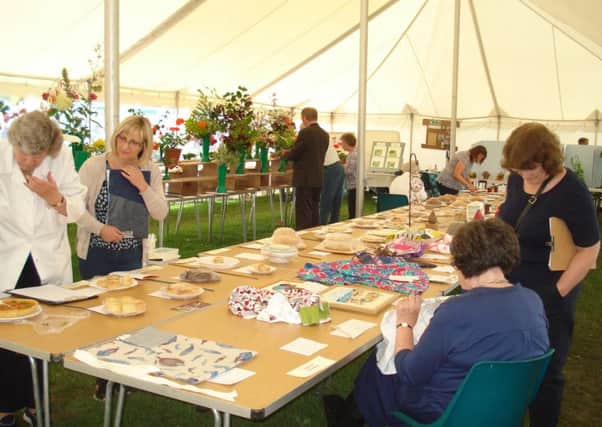 Cowfold Horticultural Society summer show SUS-161207-140325001