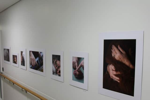 The Hands Project