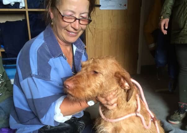 Marni the Hungarian Biszla was rescued by Rye Harbour RNLI, much to the relief of her owner Sarah Blackman