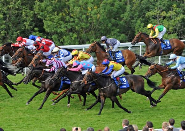 There'll be a packed field as ever for the Stewards' Cup / Picture by Malcolm Wells